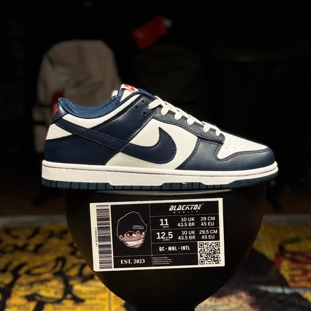 SB DUNK VALERIAN BLUE (SB-VB)